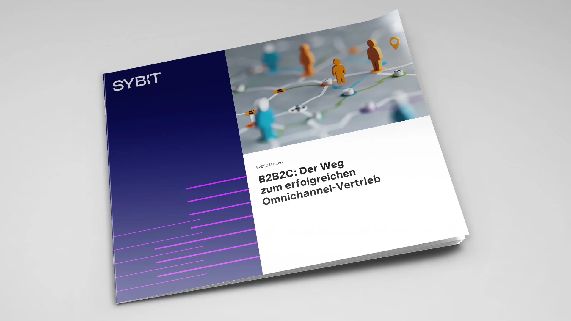B2B2C SYBIT Studie